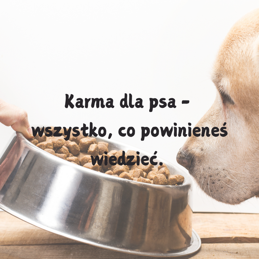 Karma dla psa - wszystko, co powinieneś wiedzieć.