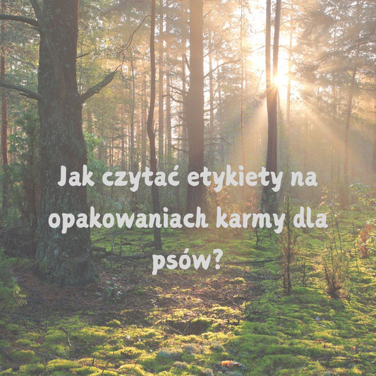 Jak czytać etykiety na opakowaniach karmy dla psów?