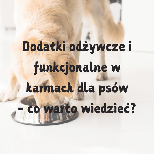 Dodatki odżywcze i funkcjonalne w karmach dla psów - co warto wiedzieć?