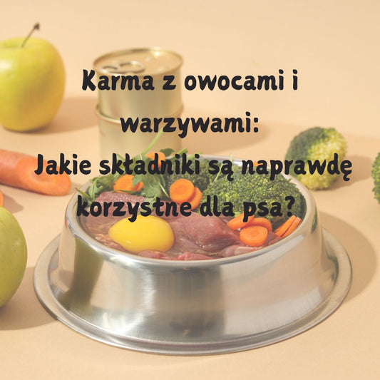 Karma z owocami i warzywami: Jakie składniki są naprawdę korzystne dla psa?